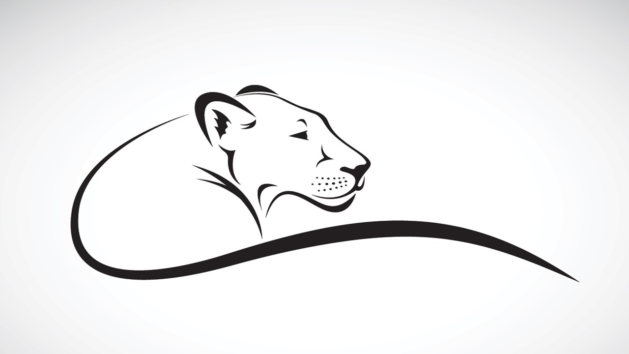 Paper Lion LTD